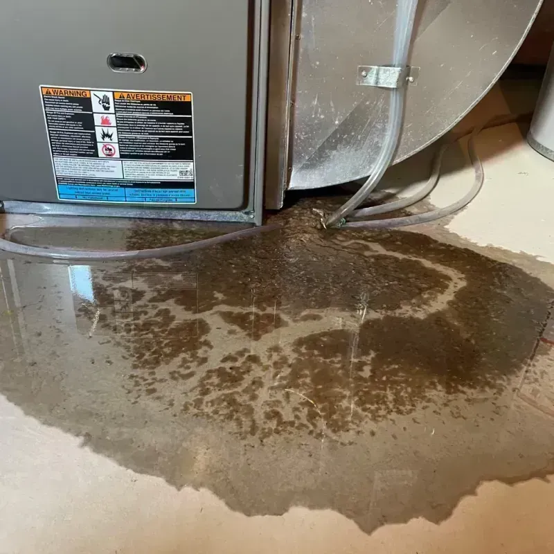 Appliance Leak Cleanup in Statesboro, GA